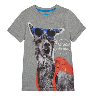 Boys' grey alpaca print t-shirt